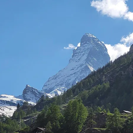 Viktoria B Lejlighed